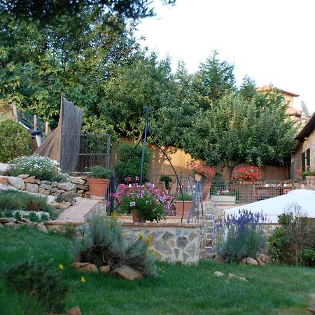 Locanda All'Andreas Montemerano Luaran gambar